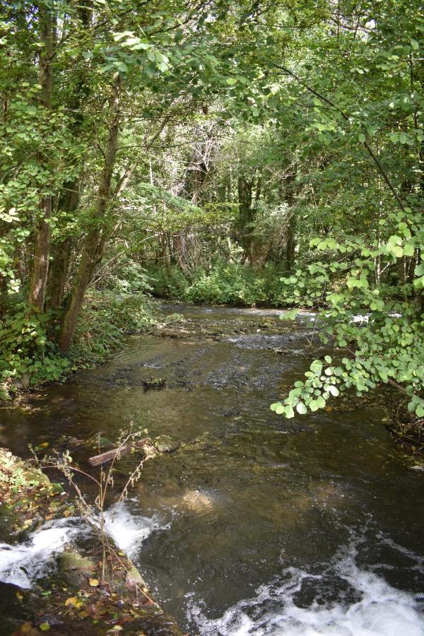 Le Moulin,19 Bis Rue De Beaudon, 45330 Augerville La Riviere Trezan Zewnętrze zdjęcie